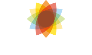 Tokyo Holdings